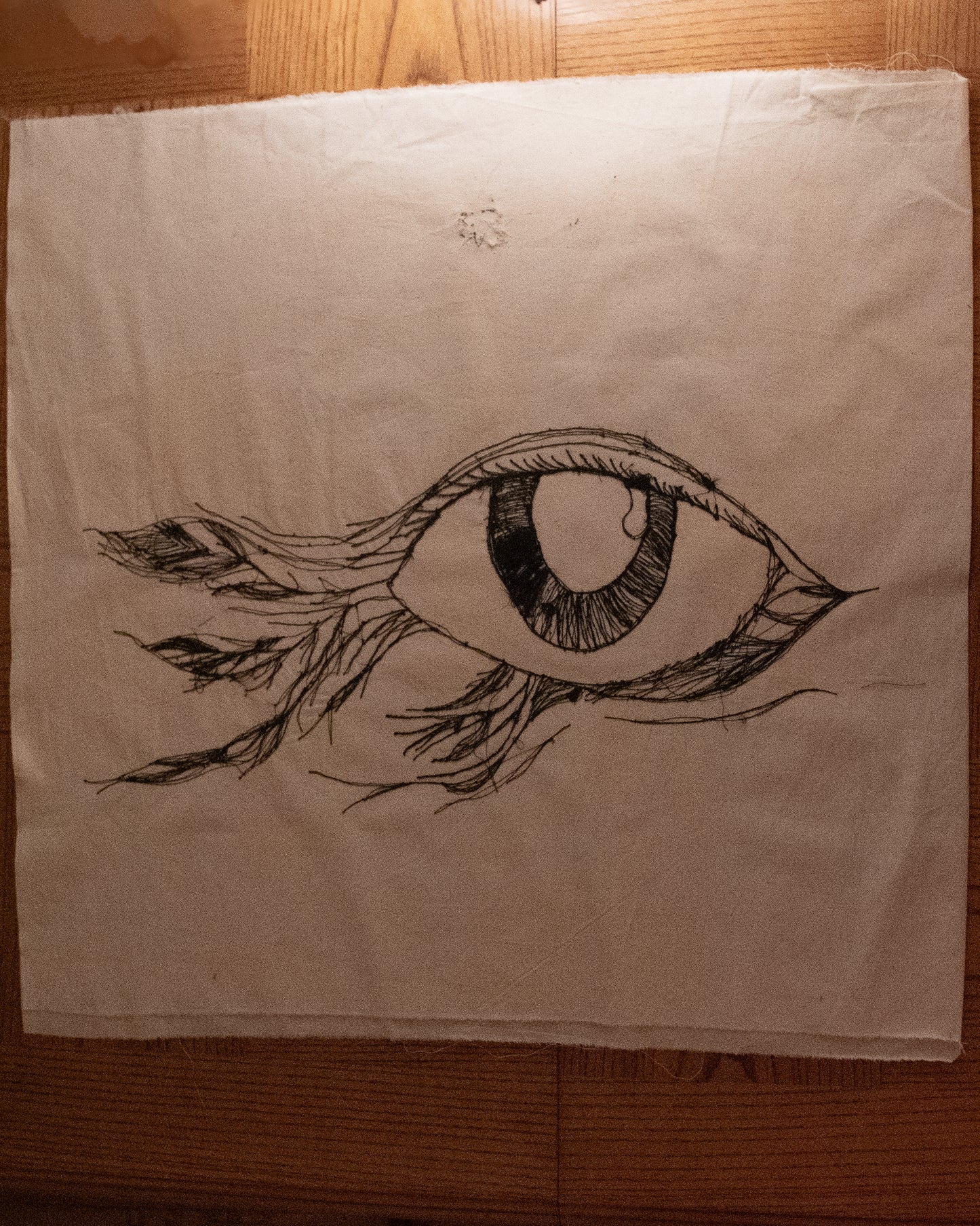 Feather Eye Fish Eye - Stitched Wall Art